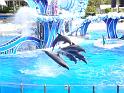 Sea World-192